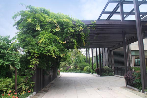 电竞比赛押注app