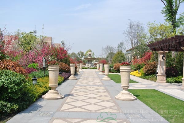 电竞比赛押注app