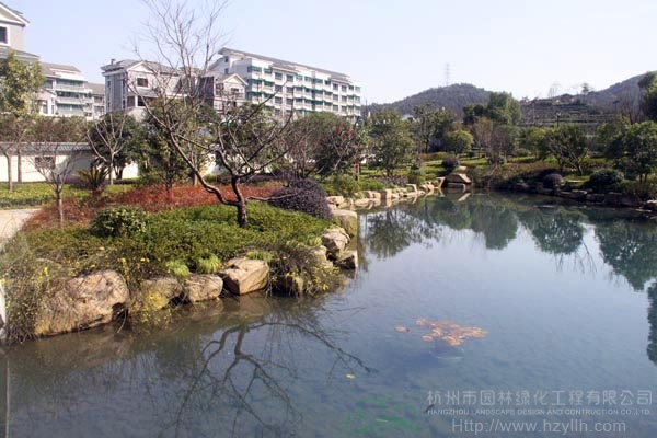 电竞比赛押注app