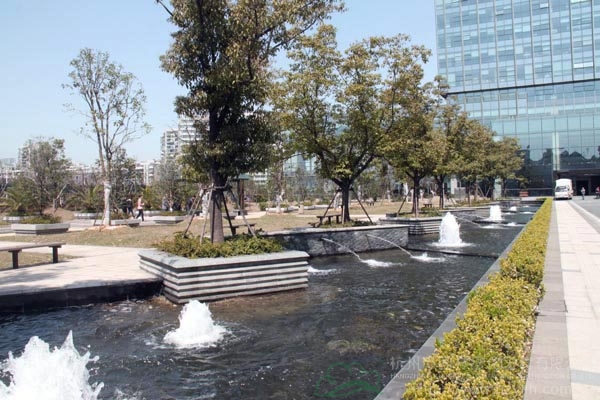 电竞比赛押注app