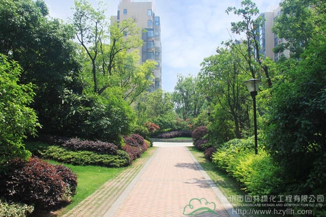 电竞比赛押注app