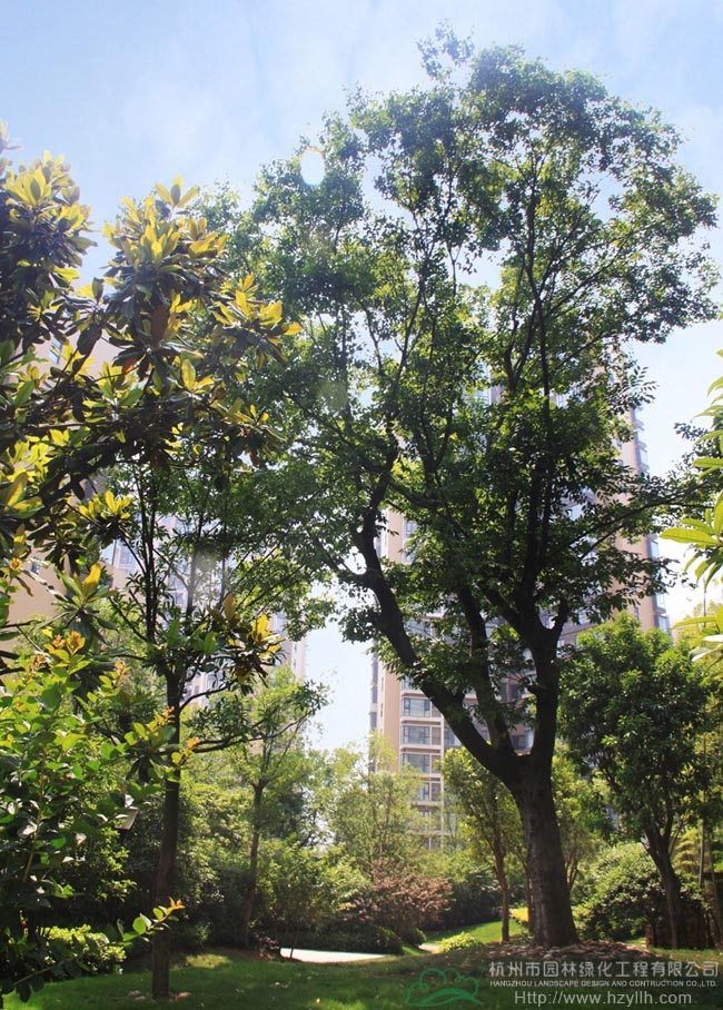 电竞比赛押注app