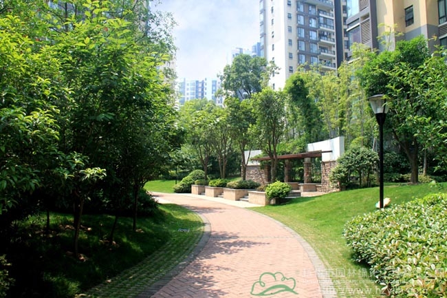 电竞比赛押注app