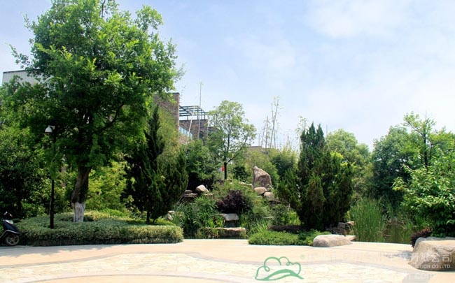 电竞比赛押注app