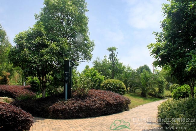 电竞比赛押注app