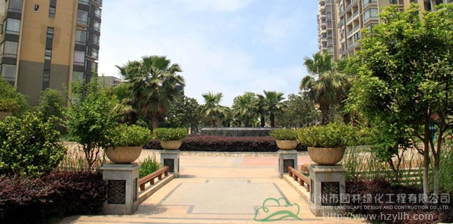 电竞比赛押注app