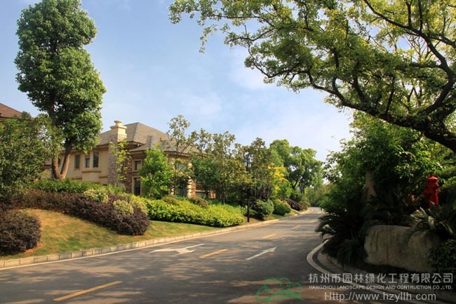 电竞比赛押注app