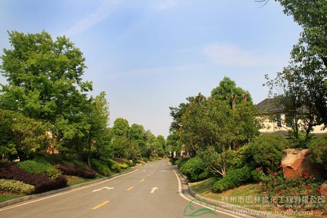 电竞比赛押注app