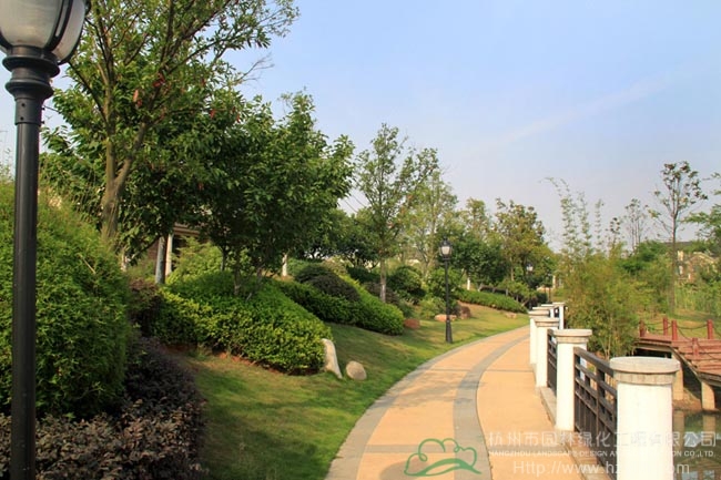 电竞比赛押注app