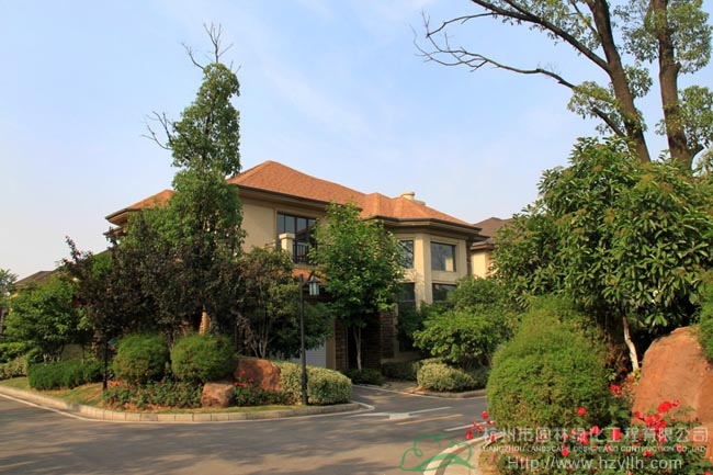 电竞比赛押注app