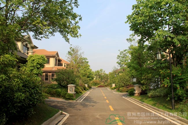 电竞比赛押注app