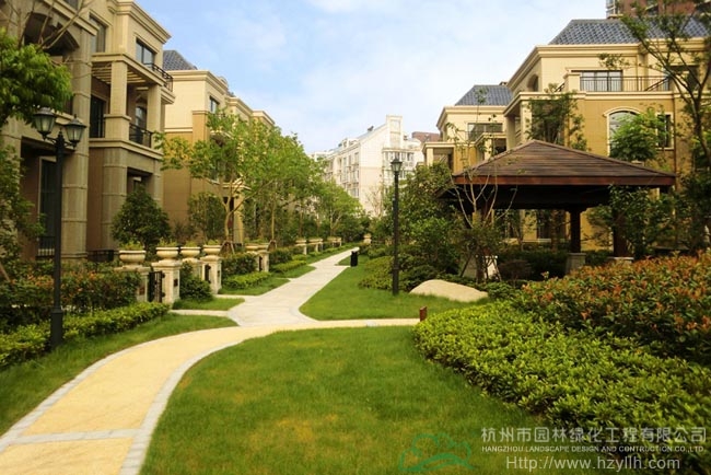 电竞比赛押注app