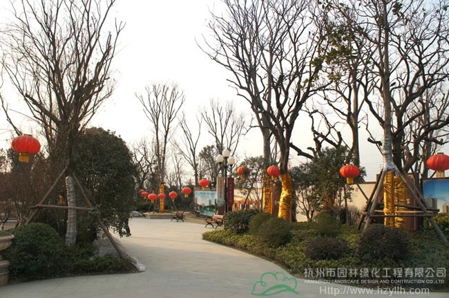 电竞比赛押注app