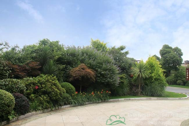 电竞比赛押注app