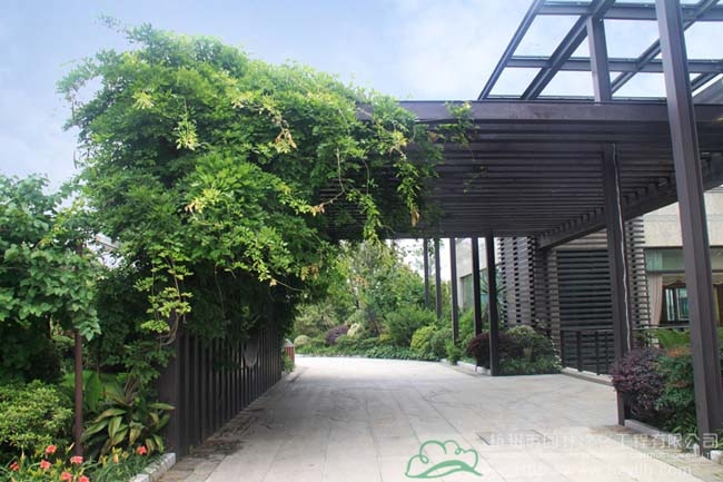 电竞比赛押注app