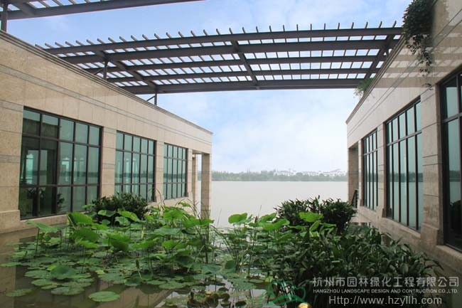 电竞比赛押注app