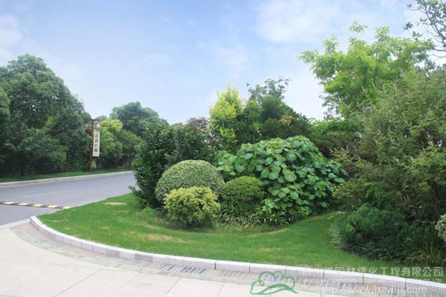 电竞比赛押注app