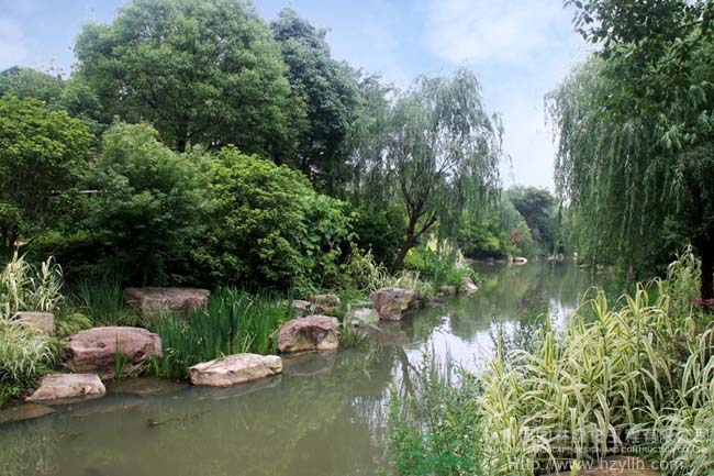 电竞比赛押注app