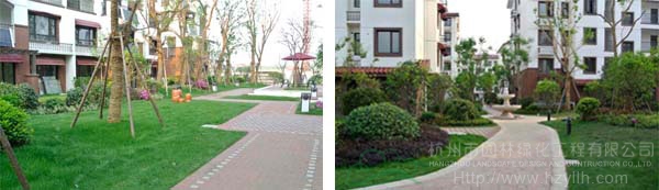 电竞比赛押注app