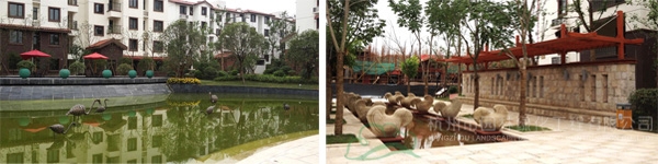 电竞比赛押注app