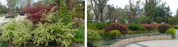 电竞比赛押注app