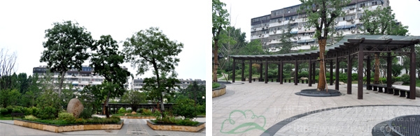 电竞比赛押注app