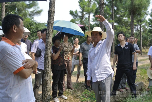 电竞比赛押注app