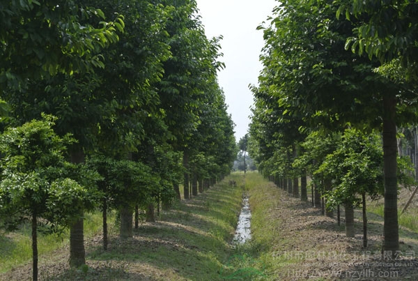 电竞比赛押注app