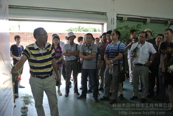 电竞比赛押注app