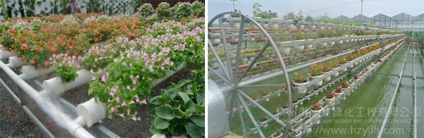 电竞比赛押注app