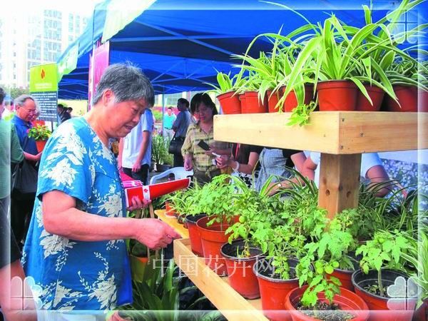 电竞比赛押注app