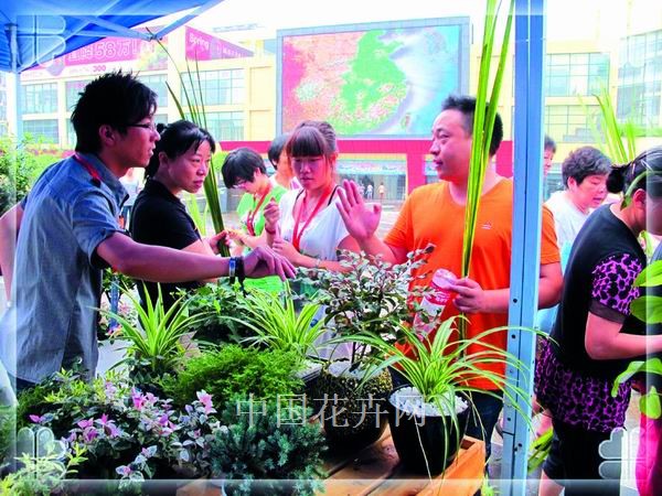 电竞比赛押注app