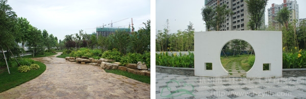 电竞比赛押注app