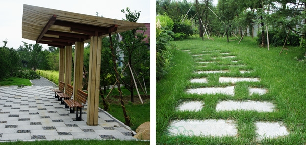 电竞比赛押注app