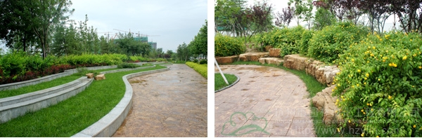 电竞比赛押注app