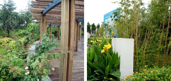 电竞比赛押注app