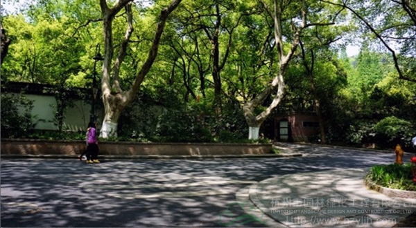 电竞比赛押注app