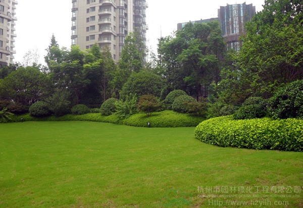 电竞比赛押注app