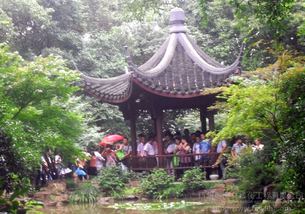 电竞比赛押注app