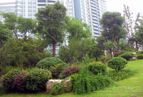 电竞比赛押注app