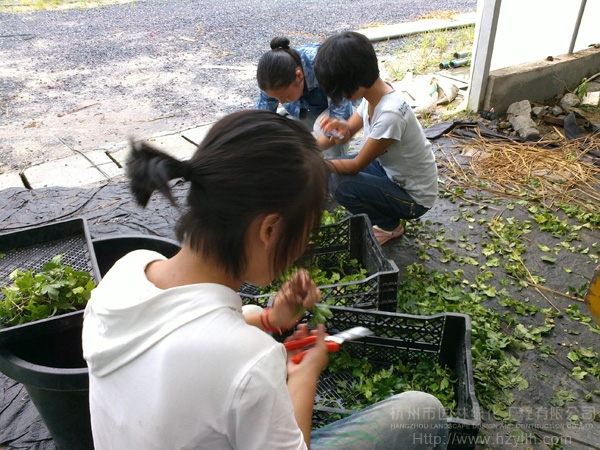 电竞比赛押注app