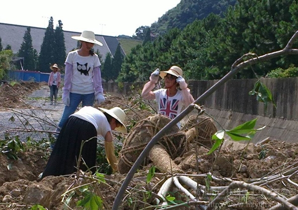 电竞比赛押注app