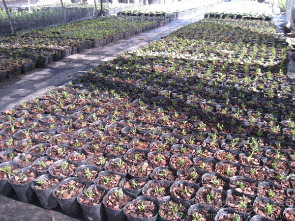 电竞比赛押注app