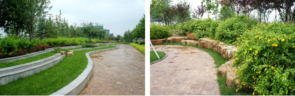 电竞比赛押注app