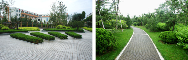 电竞比赛押注app