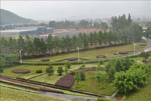 电竞比赛押注app