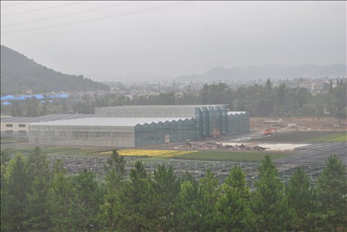 电竞比赛押注app