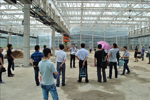 电竞比赛押注app