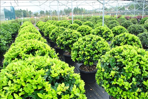 电竞比赛押注app