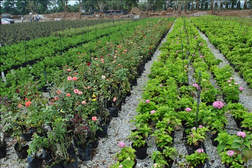 电竞比赛押注app